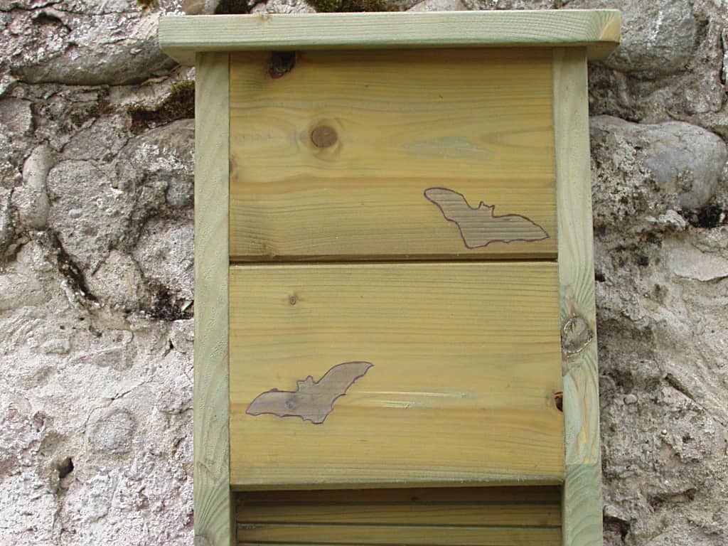 Casette per Pipistrelli